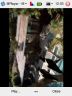 Play a video using MPlayer